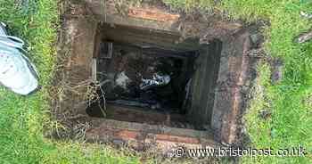 Three-year-old girl 'almost died' when she fell six-feet into a manhole