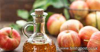 Popular household staple 'reduces cholesterol levels' in the body, study claims