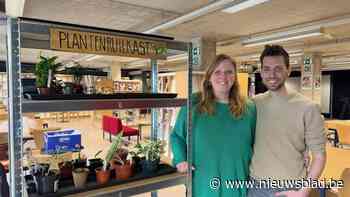 In de bibliotheek van Herentals kan je nu ook planten ruilen: "We weten dat er belangstelling is voor het concept"