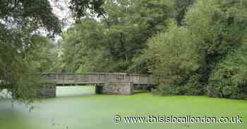 Woman pulled from lake in park near train station in Eltham