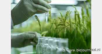 EU-lidstaten bereiken akkoord over NGT's in landbouw