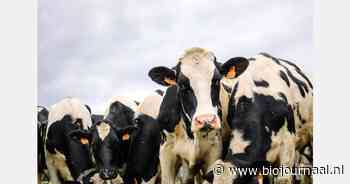 ''Biologisch melkveebedrijf met kaasproductie en innovatie''
