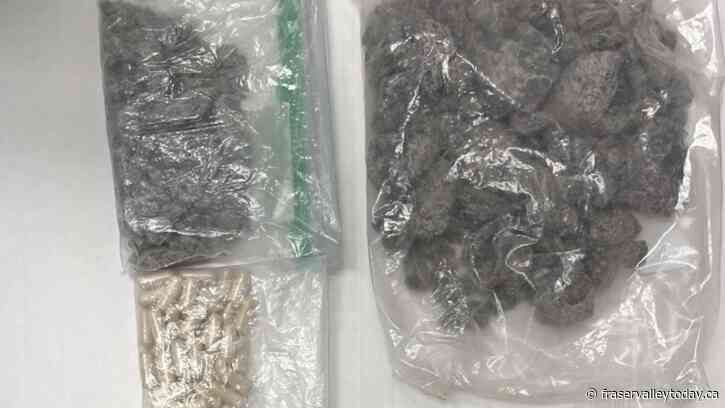 Zimbabwean man caught smuggling drugs between area southeast of Hope, B.C., and Washington