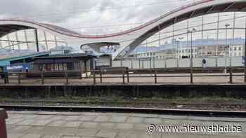 Tot 18 maanden cel geëist tegen bagagedieven op trein: “Onder meer een fototas van een professionele fotograaf gestolen”