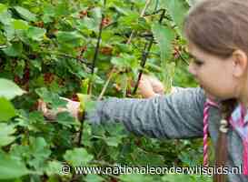 'Schooltuin moet net zo normaal zijn als een gymlokaal'