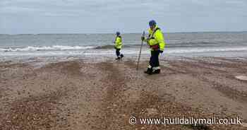 Small plastic pellets wash ashore following North Sea collision