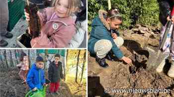 Basisschool 3Hoek plant bos om natuurlijke speelplaats te vervolledigen