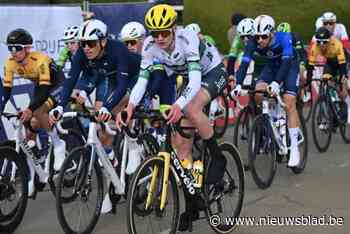 Invaller Vos Coleman kleurt zijn visitekaartje bij in Nokere Koerse: “Nooit uit kop van de koers weggeweest”