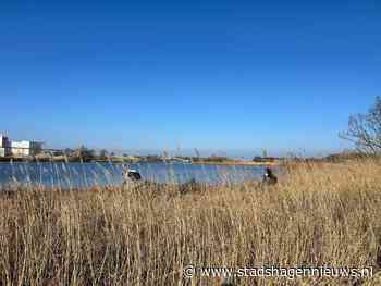 Vrijwilligers ruimen ‘indrukwekkende hoeveelheid’ afval langs Zwarte Water op