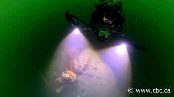 Shipwrecks litter the N.S. coast. Now we can see some in 3D