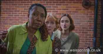 Fans of Father Brown, Vera and Death in Paradise should watch this cosy crime drama next