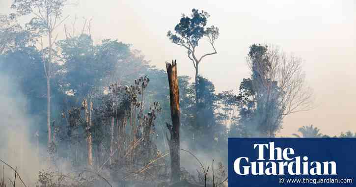 Cop30 in talks to hire PR firm that worked for lobby seeking weaker Amazon protections