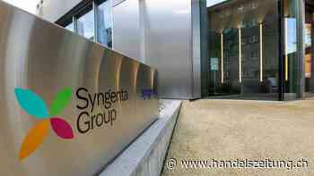 Ständerat im Grundsatz für Prüfung ausländischer Investitionen