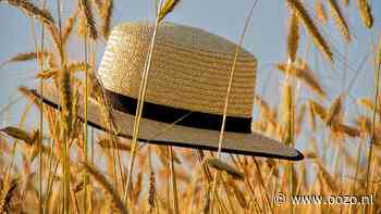 Column Marcel van Stigt: Topservice