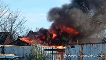 Door brand getroffen scouts Oelegem houden komend weekend net wafeltjesverkoop