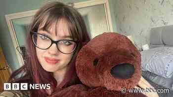 Teddy becomes star of barista's Vinted profile