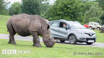 Call for dedicated minister as tourism costs rise