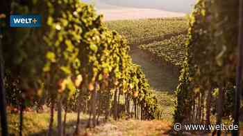 Die Eskalation, die für deutsche Winzer das Ende bedeuten kann