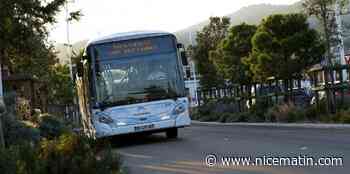 À Cannes, ces trois lignes de bus se renforcent