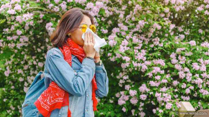 Sniffles and sneezes: how to survive spring allergy season