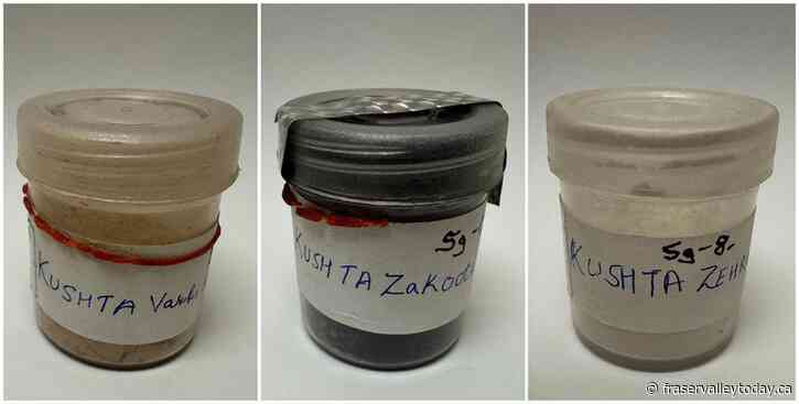 Ayurvedic medicine tainted with heavy metals in B.C., linked to lead poisoning case