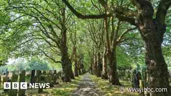 Cemetery becomes city's latest nature reserve