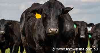 Discover how Angus producers are leading the carbon neutral 2030 race