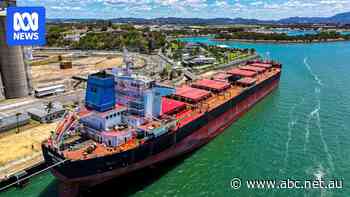 Foreign ship operator fined by court over banned bulk carrier