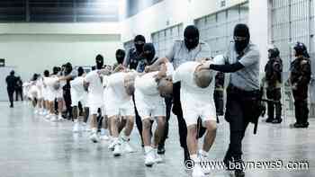 Full Episode: Hundreds deported under Alien Enemies Act despite judge's order, and Tallahassee talks term limits