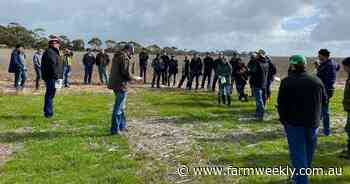 Alarming signals raise red flags for managing annual ryegrass resistance