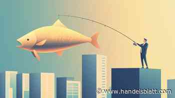 Steuererklärung 2024: So findet das Finanzamt Steuerbetrüger