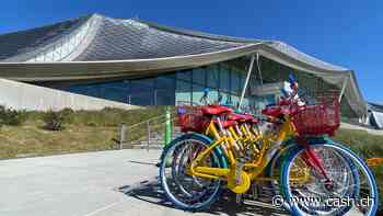 Alphabet startet erneut die Übernahme vom Cybersecurity-Startup Wiz