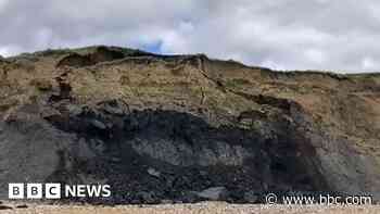 Watch: Cliff collapse caught on camera