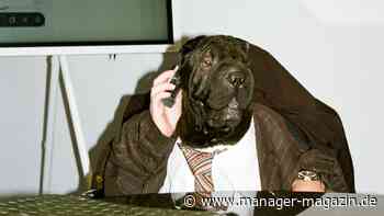 Job Crafting: Wie Unternehmen Jobs attraktiver gestalten können