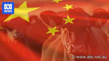 US meat exports to China get last-minute extension, but beef in limbo