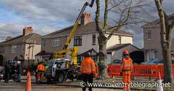 'Leave the trees alone!' say protestors as cycle lane destruction begins