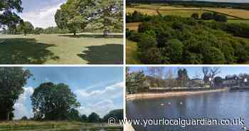 The best five walks to welcome the spring season in Sutton