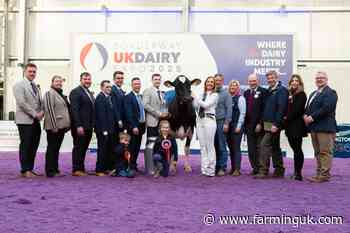 Holstein champion Mag Pandor crowned Supreme Champion again