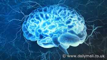 Ingredient hidden in your spice rack could reverse Alzheimer's disease