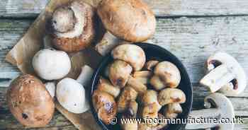 Plans for £10m UK mushroom growing facility announced