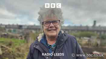 Calls to clean up 'lifeline' Bradford allotments