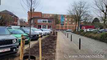 Nieuwe aanplantingen Otterstraat verrassen omwonenden: "Misschien moeten we er toch eens een bord met wat uitleg bij zetten"