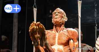 Schon 50.000 Gäste bei der „Körperwelten“-Ausstellung in der Alten Druckerei