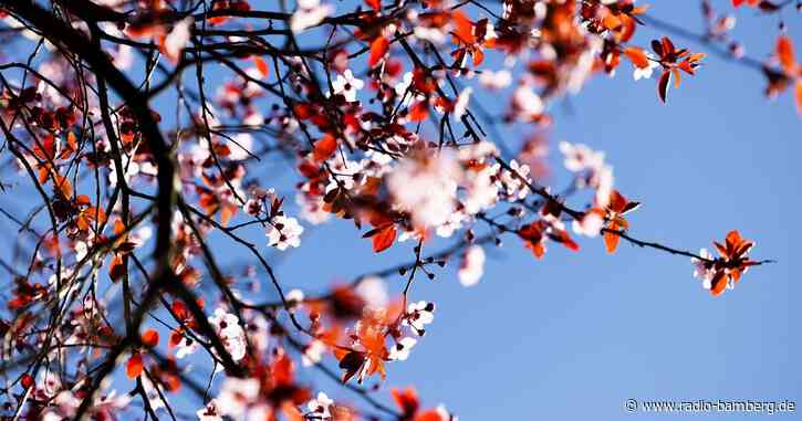 Kalendarischer Frühlingsanfang wird überwiegend sonnig
