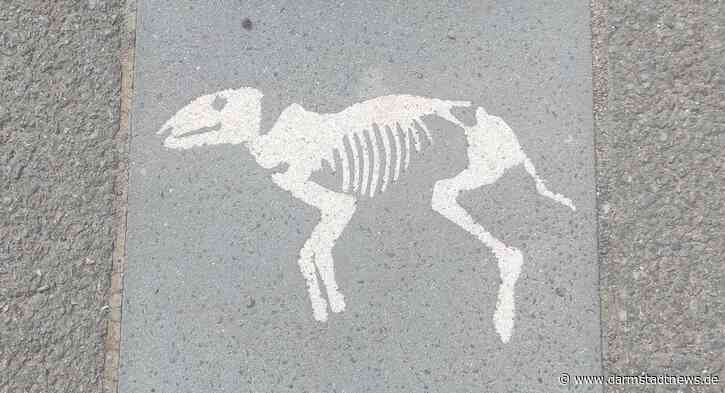 30 Jahre Welterbe Grube Messel – Ein digitales Projekt zum Jubiläum