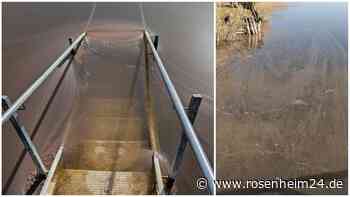 Blaualgen im Simssee: Das sind die Auswirkungen für Mensch und Tier am Baierbacher Strand