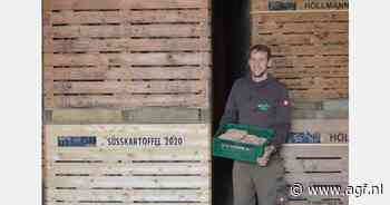 "Duitse zoete aardappeloogst dicht bij het niveau van vorig jaar"