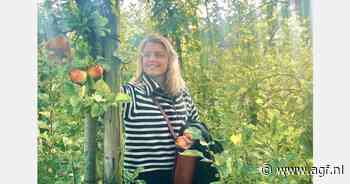 Van de drukte van de luchtvaartindustrie naar de rust van de biologische boomgaarden