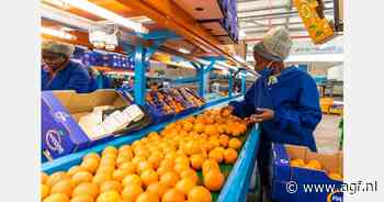 Zuid-Afrika profiteert van vroeg einde citrusseizoen op noordelijk halfrond