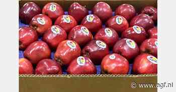 Vraag naar Turkse appelen in India is ook vertraagd